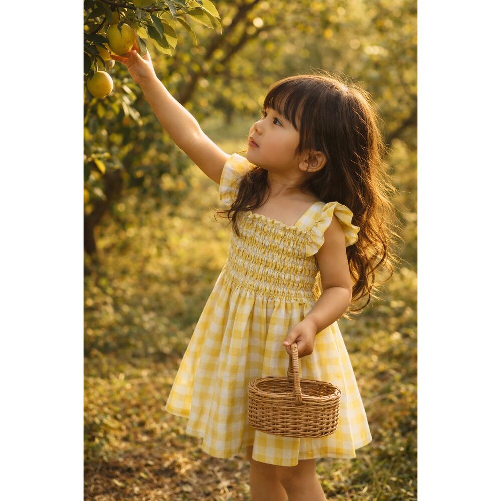 Wandering Golden Orchards Gingham Smocked Flutter Slv Dress 3T